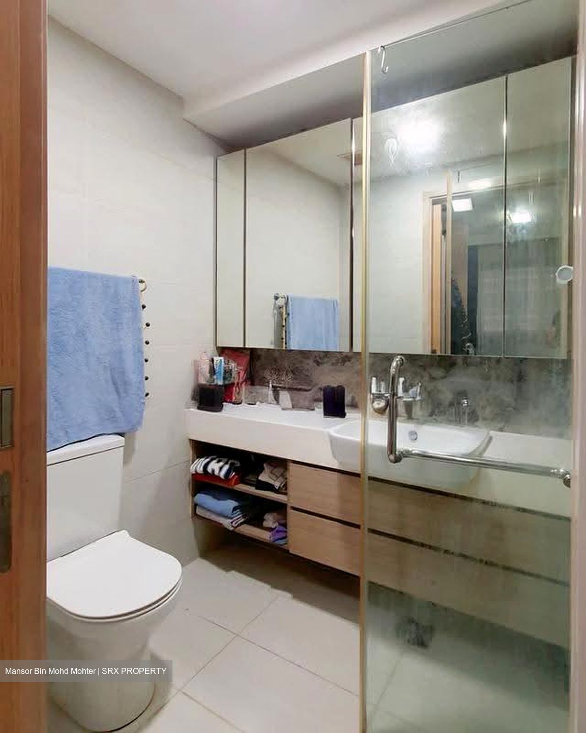 The Lakefront Residences (D22), Condominium #608655141